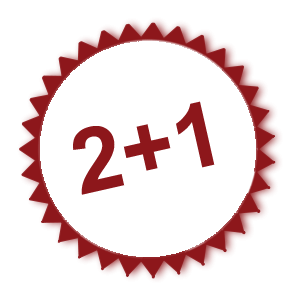 Akcija 2+1